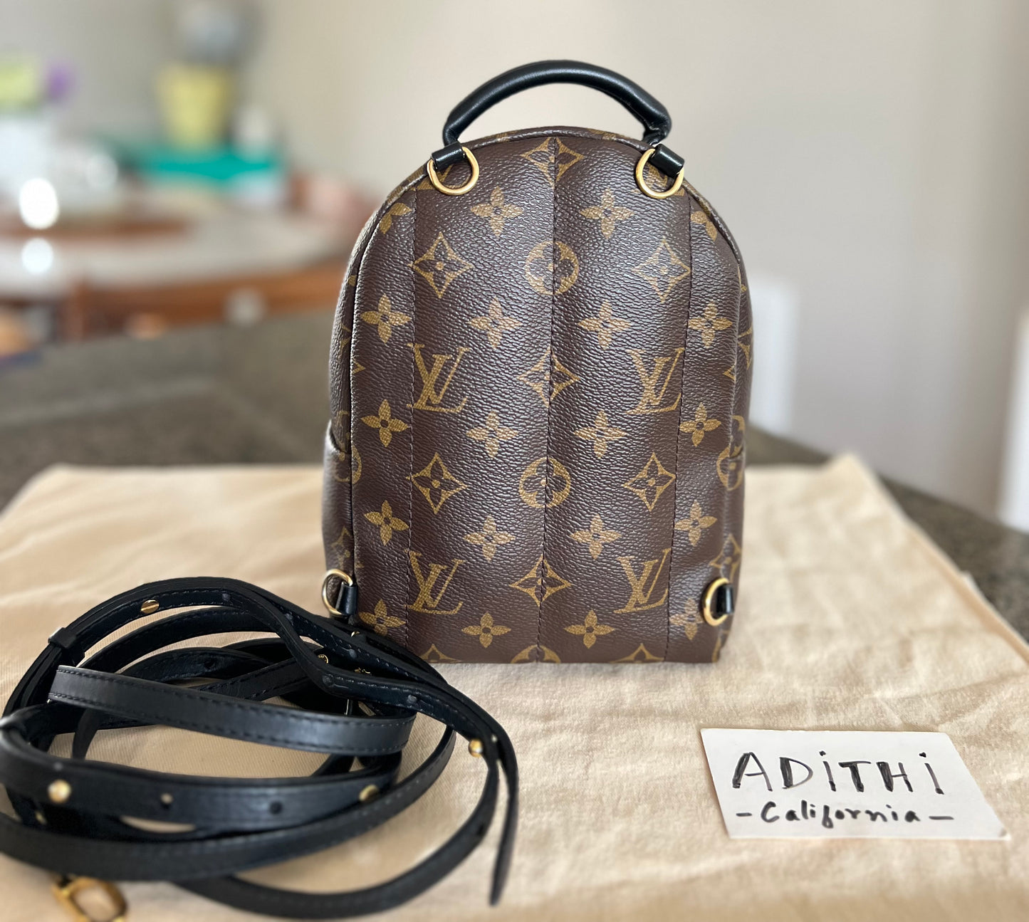 Palm Springs Mini Backpack