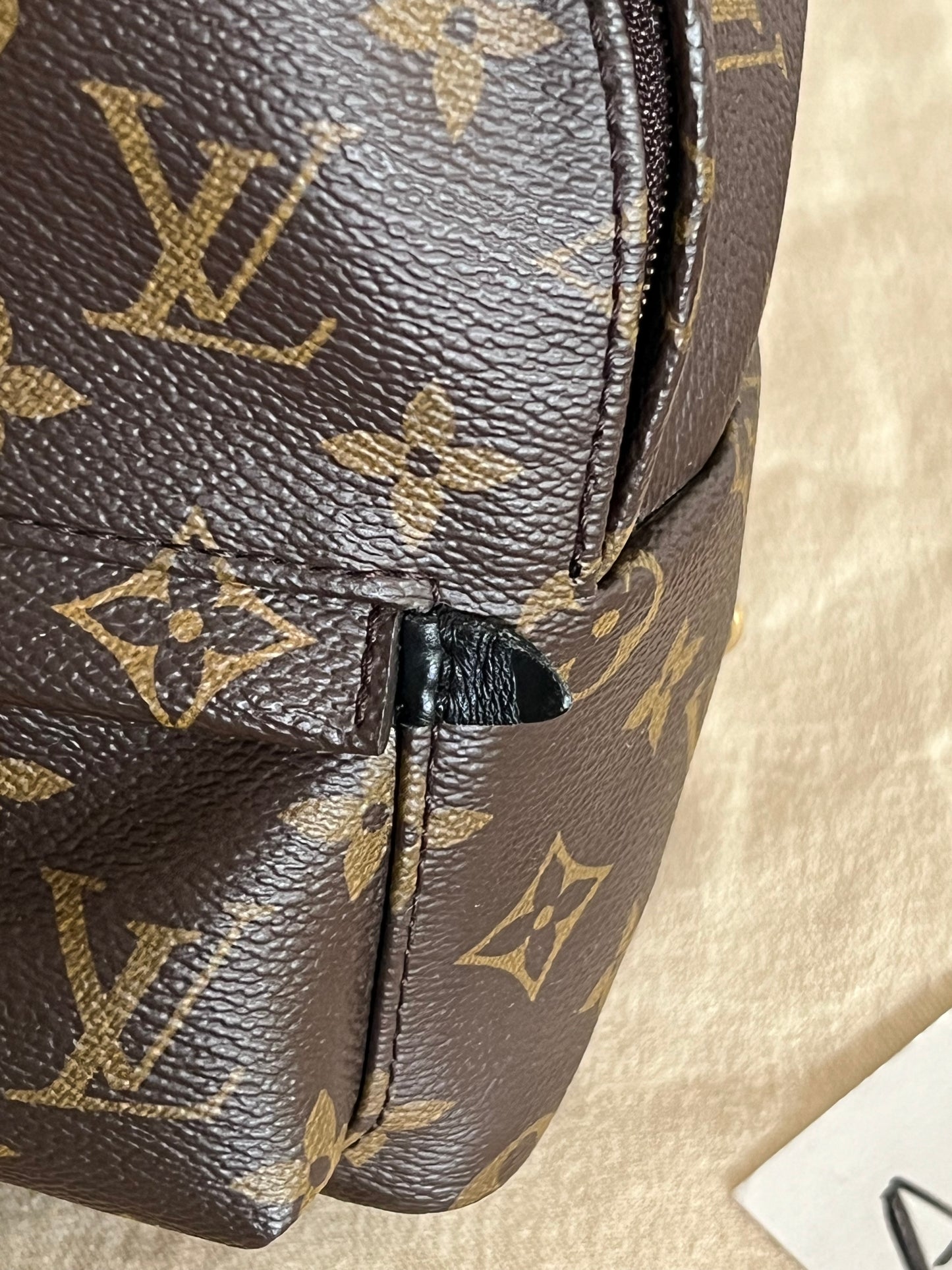 Palm Springs Mini Backpack