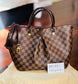 Siena MM Damier Ebene