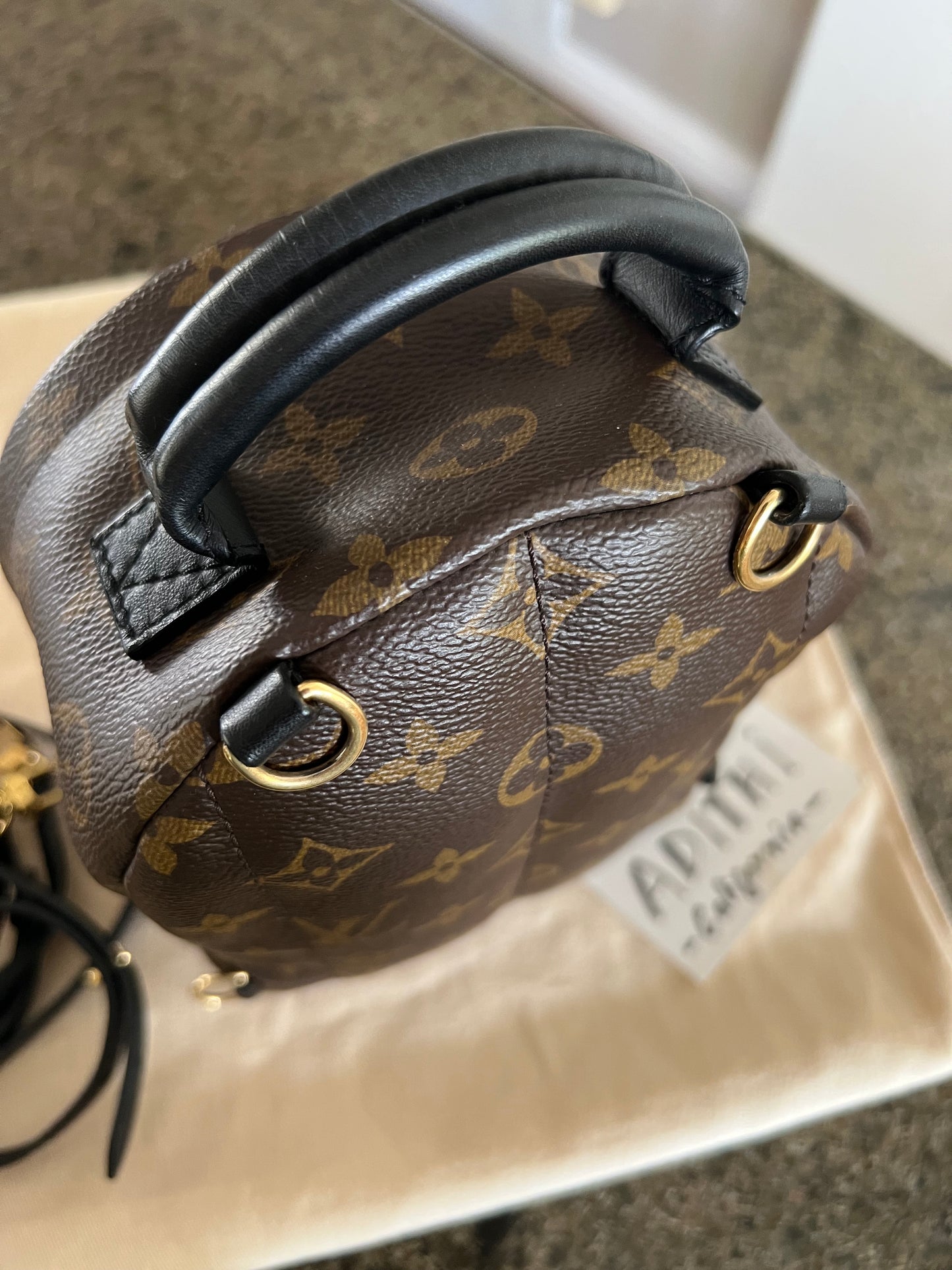 Palm Springs Mini Backpack