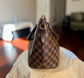 Siena MM Damier Ebene