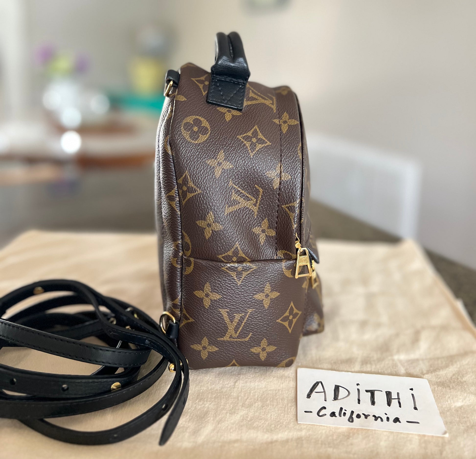 louis vuitton backpack mini replica Louis Vuitton Palm Springs Mini Backpack Monogram Canvas