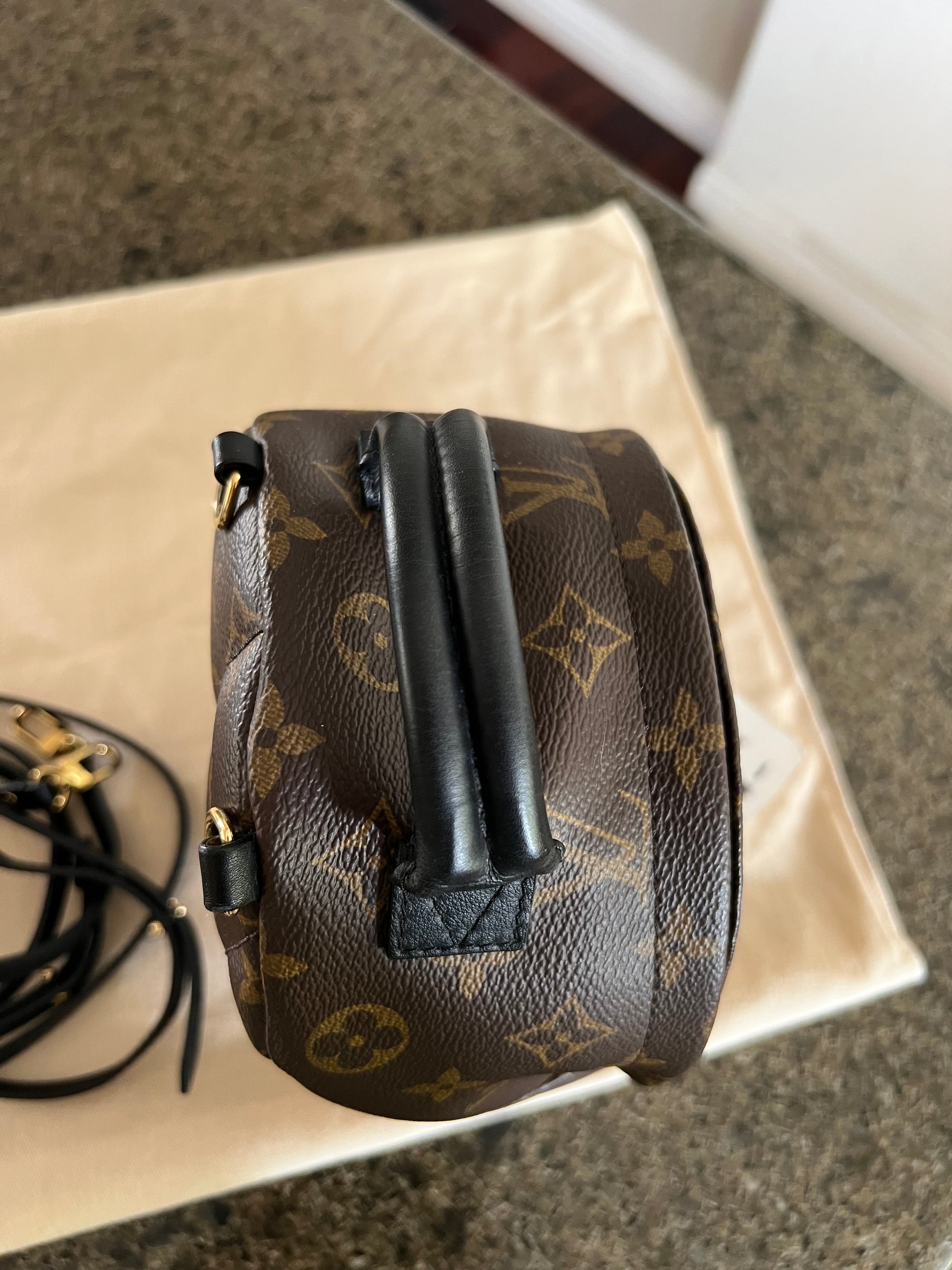 Louis Vuitton 2020 Monogram Palm Springs Mini Backpack