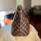 Siena MM Damier Ebene
