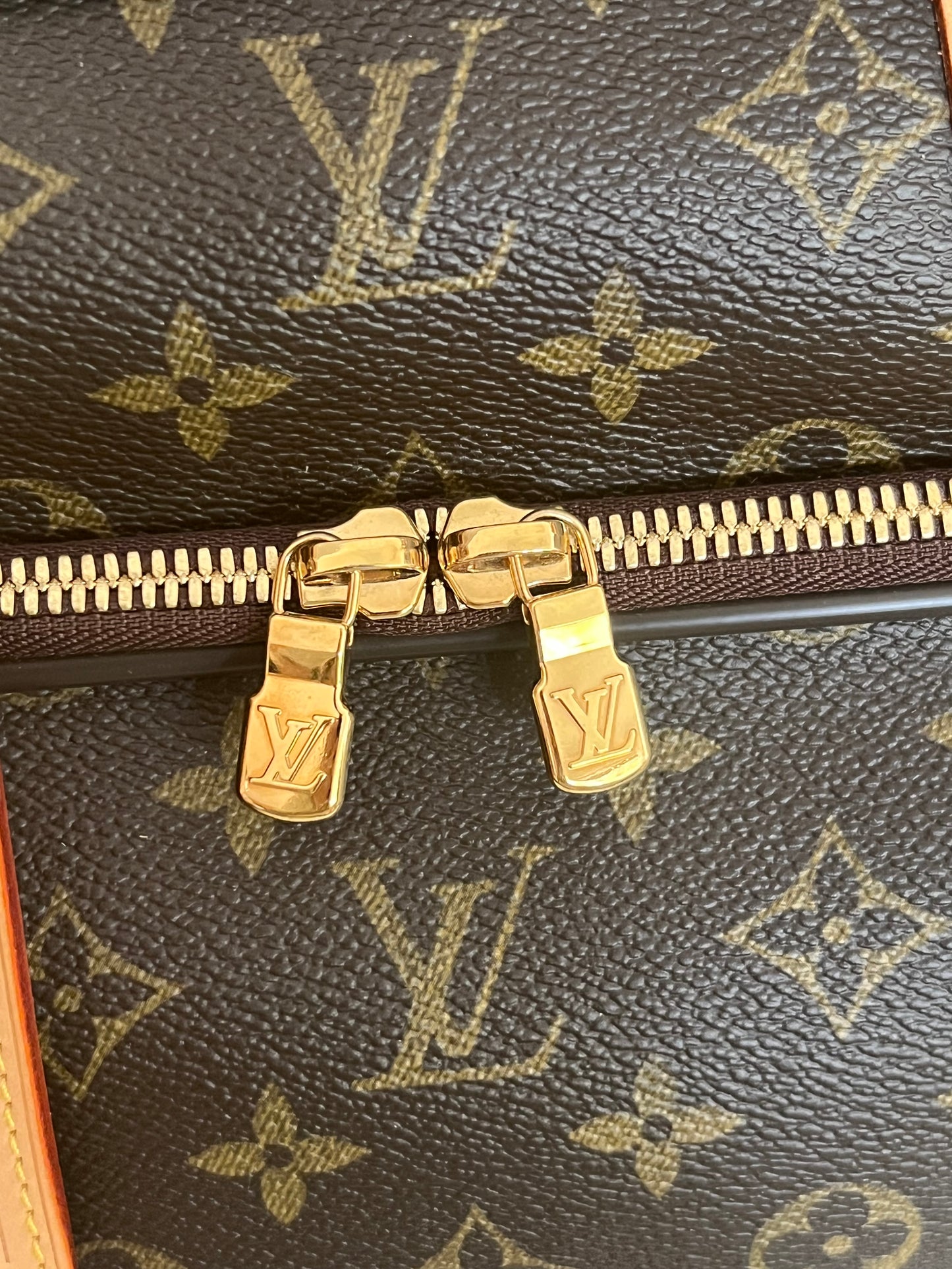 Icare Travel Bag