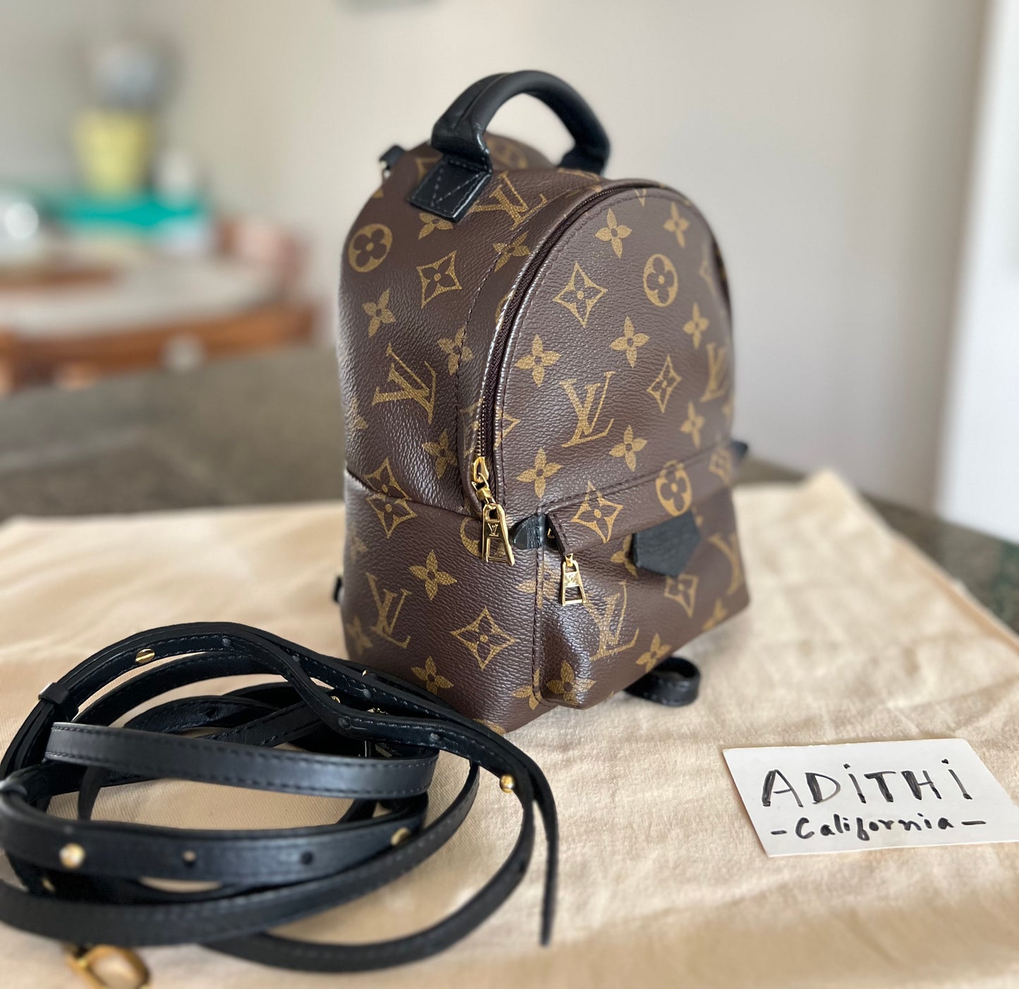 Palm Springs Mini Backpack – Boutique De Lumière Palm Springs Mini Backpack – Boutique De Lumière