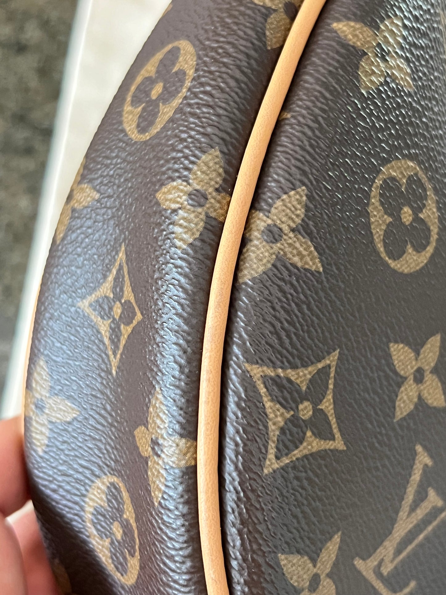 Loop Crossbody Bag