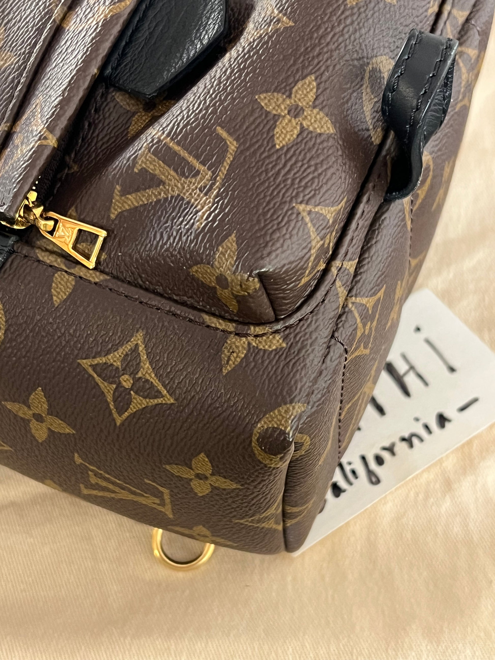 fake palm springs mini backpack Louis Vuitton Palm Springs Mini Backpack Monogram Canvas