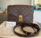 Pochette Metis