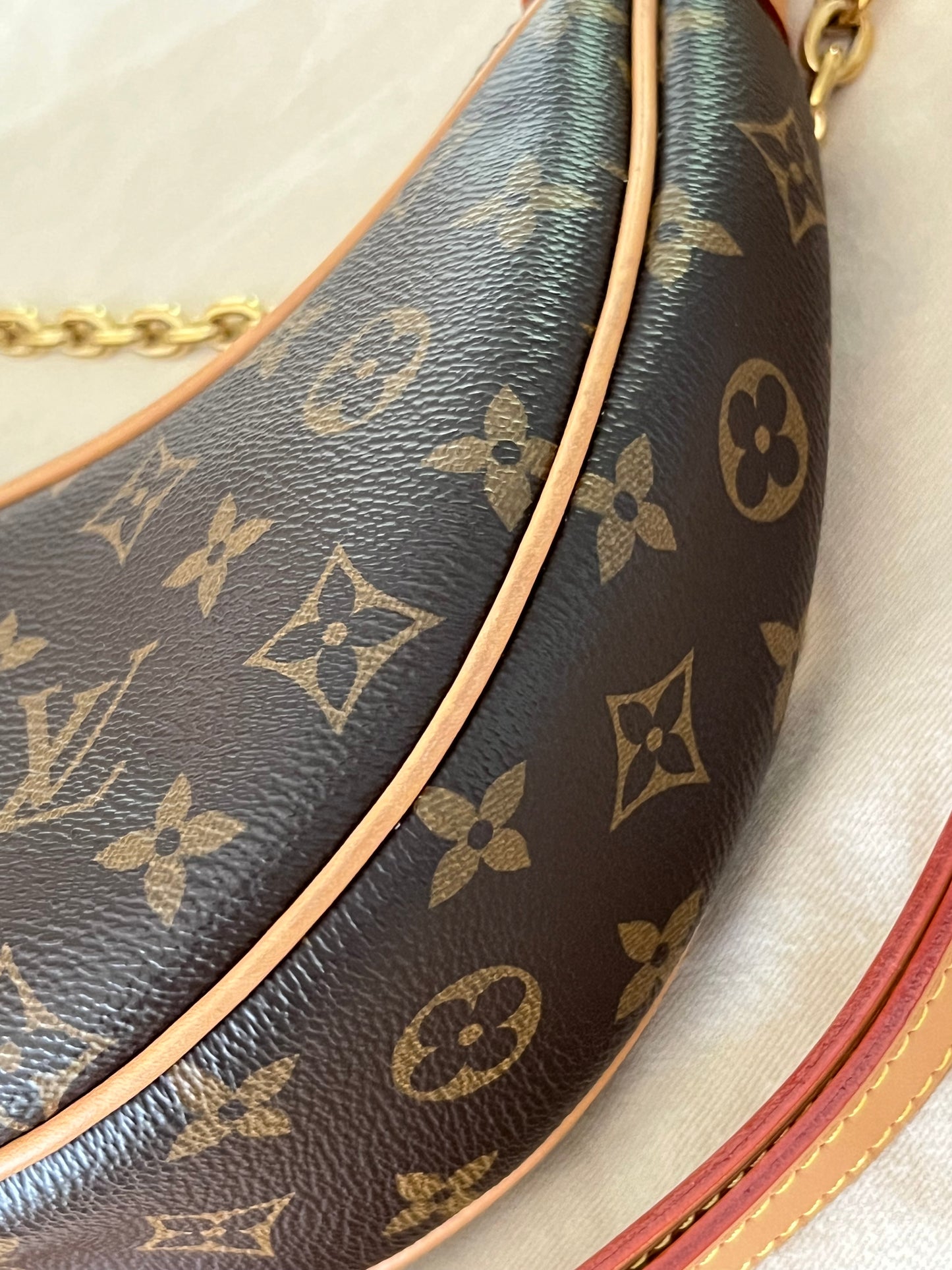 Loop Crossbody Bag