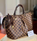 Siena MM Damier Ebene