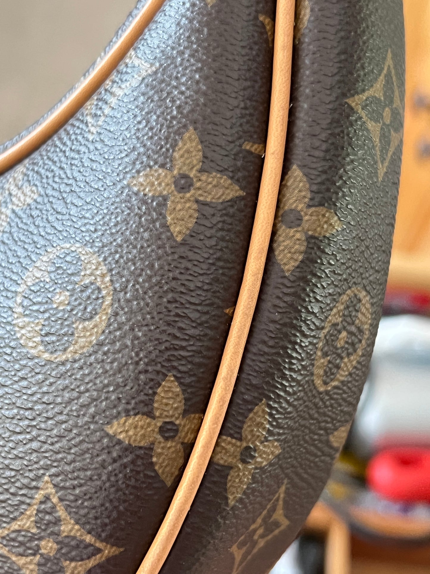 Loop Crossbody Bag