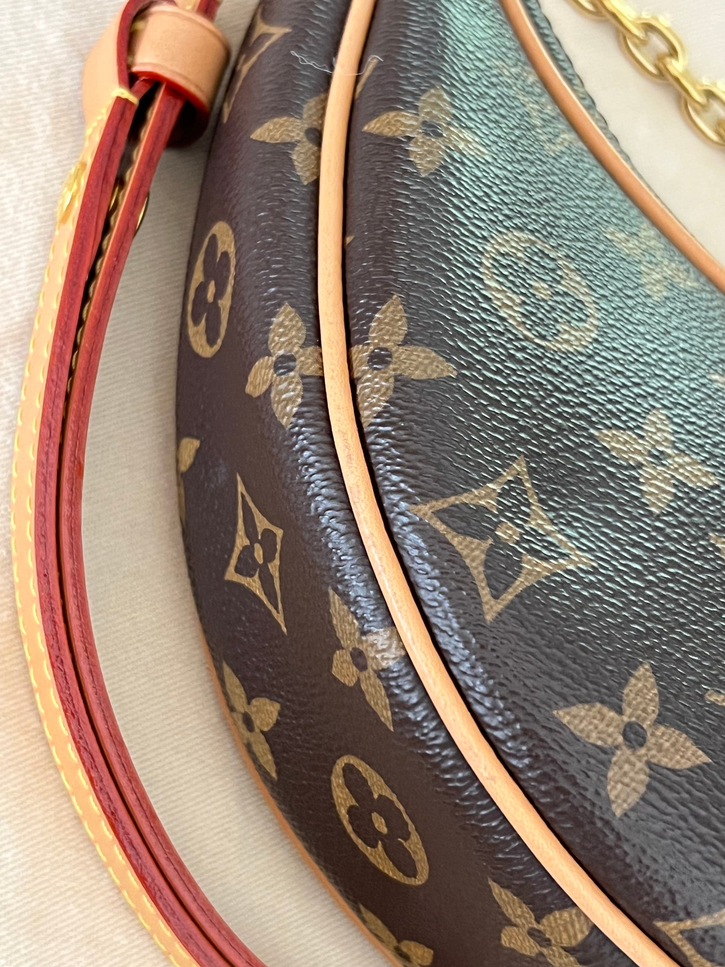 Loop Crossbody Bag