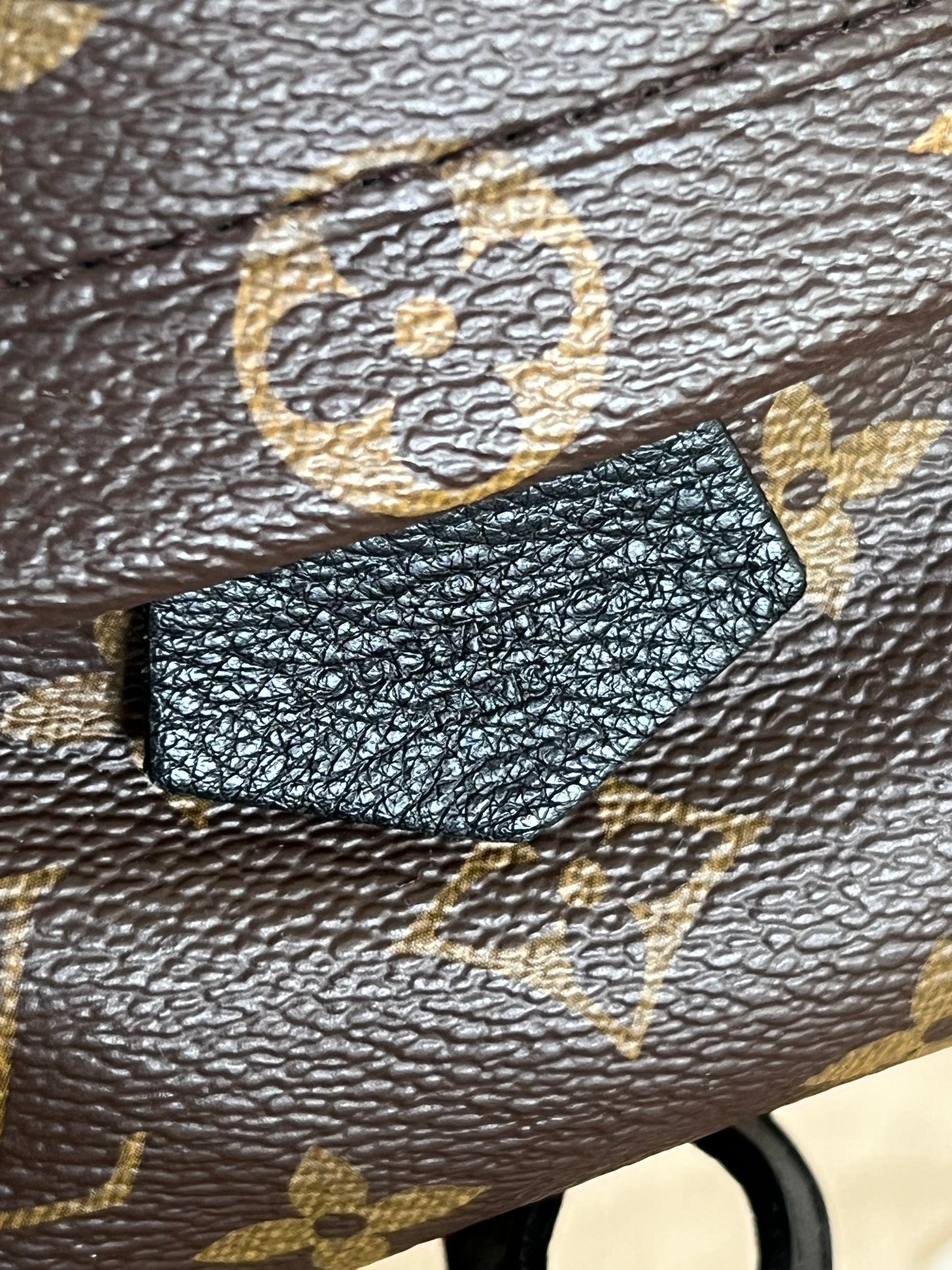 Palm Springs Mini Backpack