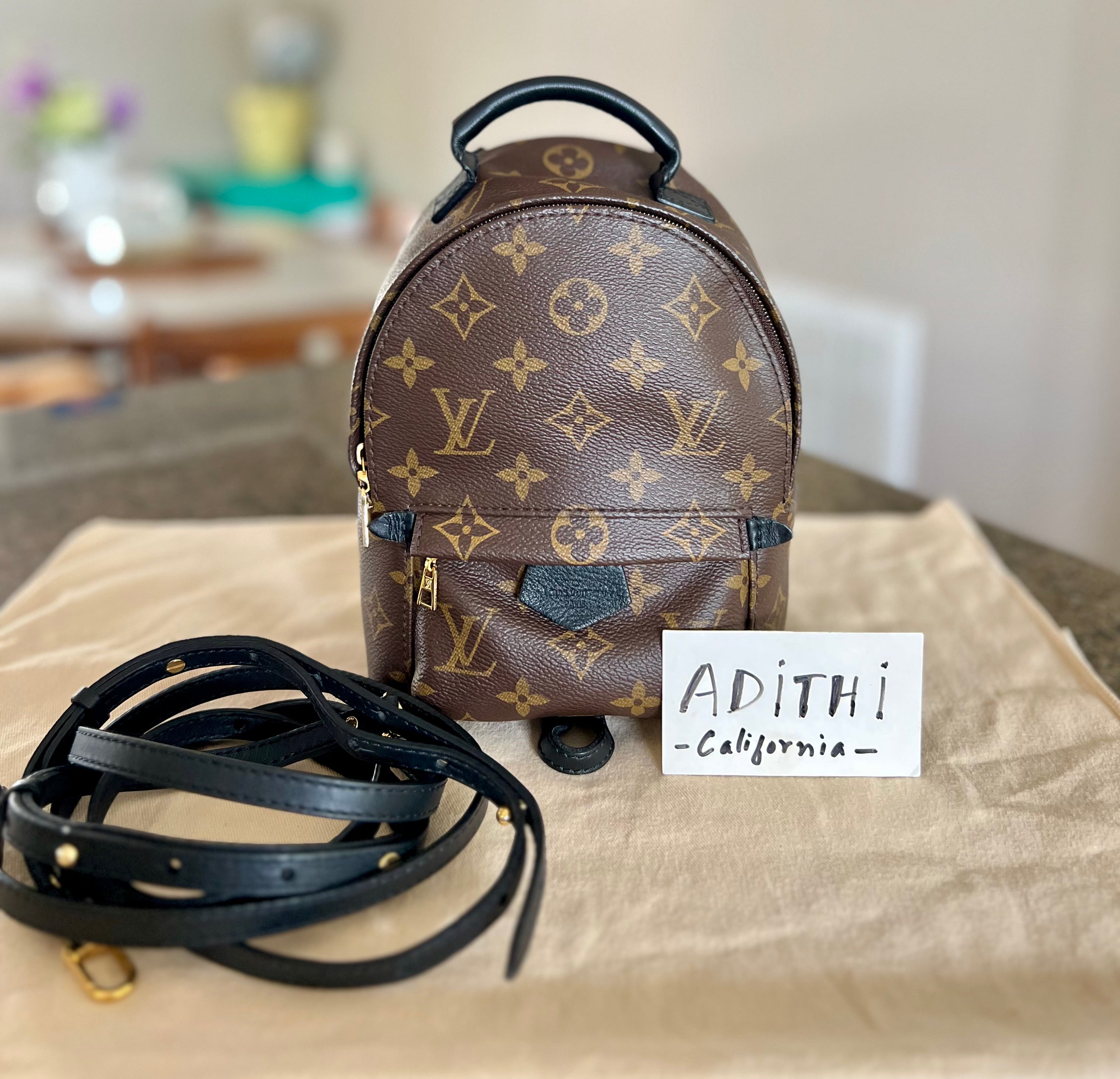 Louis Vuitton 2020 Monogram Palm Springs Mini Backpack