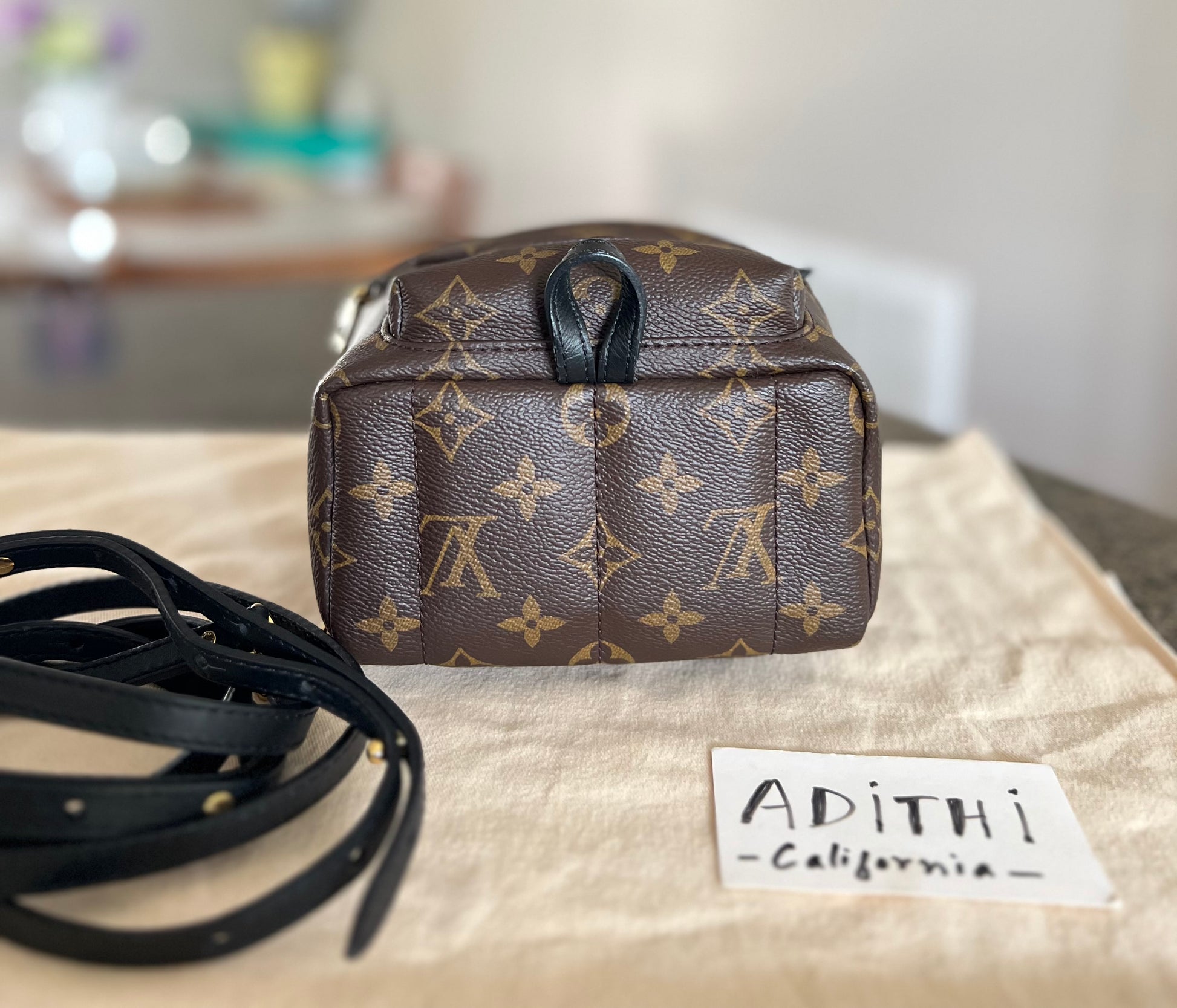 fake louis vuitton palm springs backpack Louis Vuitton Palm Springs Mini Backpack Monogram Canvas